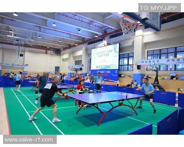 深圳乒乓球队攻防新策略探索与实践的深度分析与展望